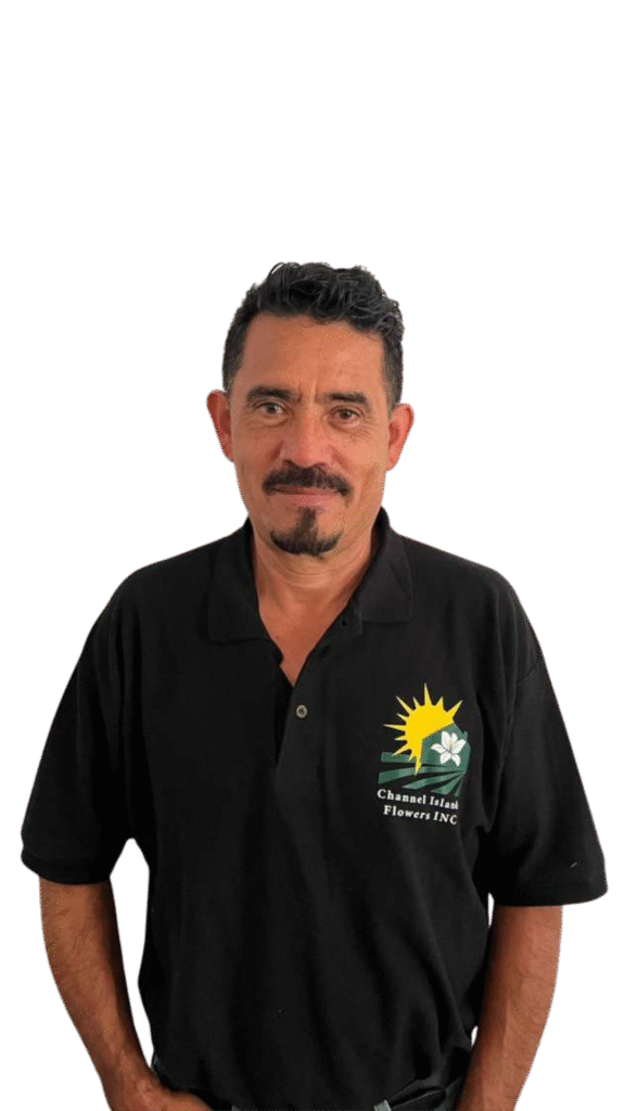 diseño sin título (44)