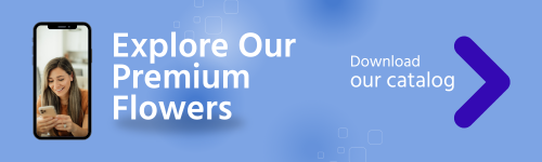 post instagram descargar aplicación minimalista azul y blanco (500 x 150 px) (1)