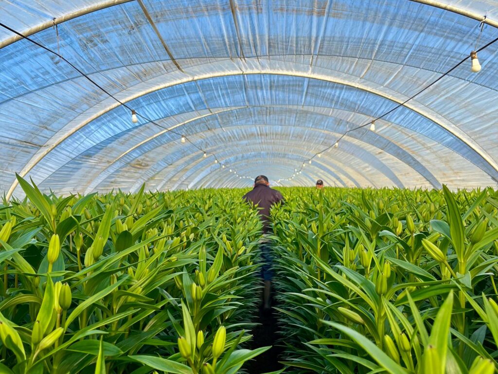 Our Story whatsapp image 2025 10 11 at 2.10.05 pm (31) (1)