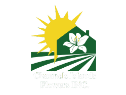logo channel island flowers (4)
