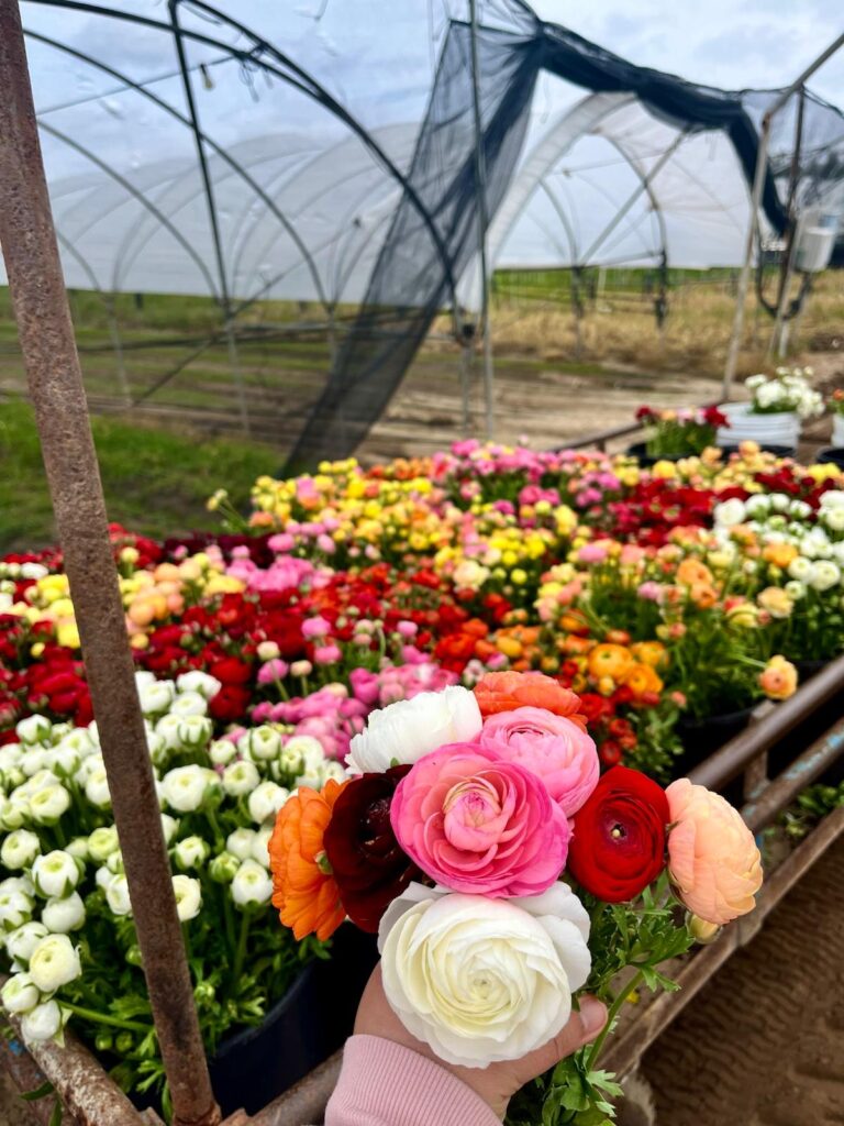 whatsapp image 2025 11 07 at 2.48.22 pm