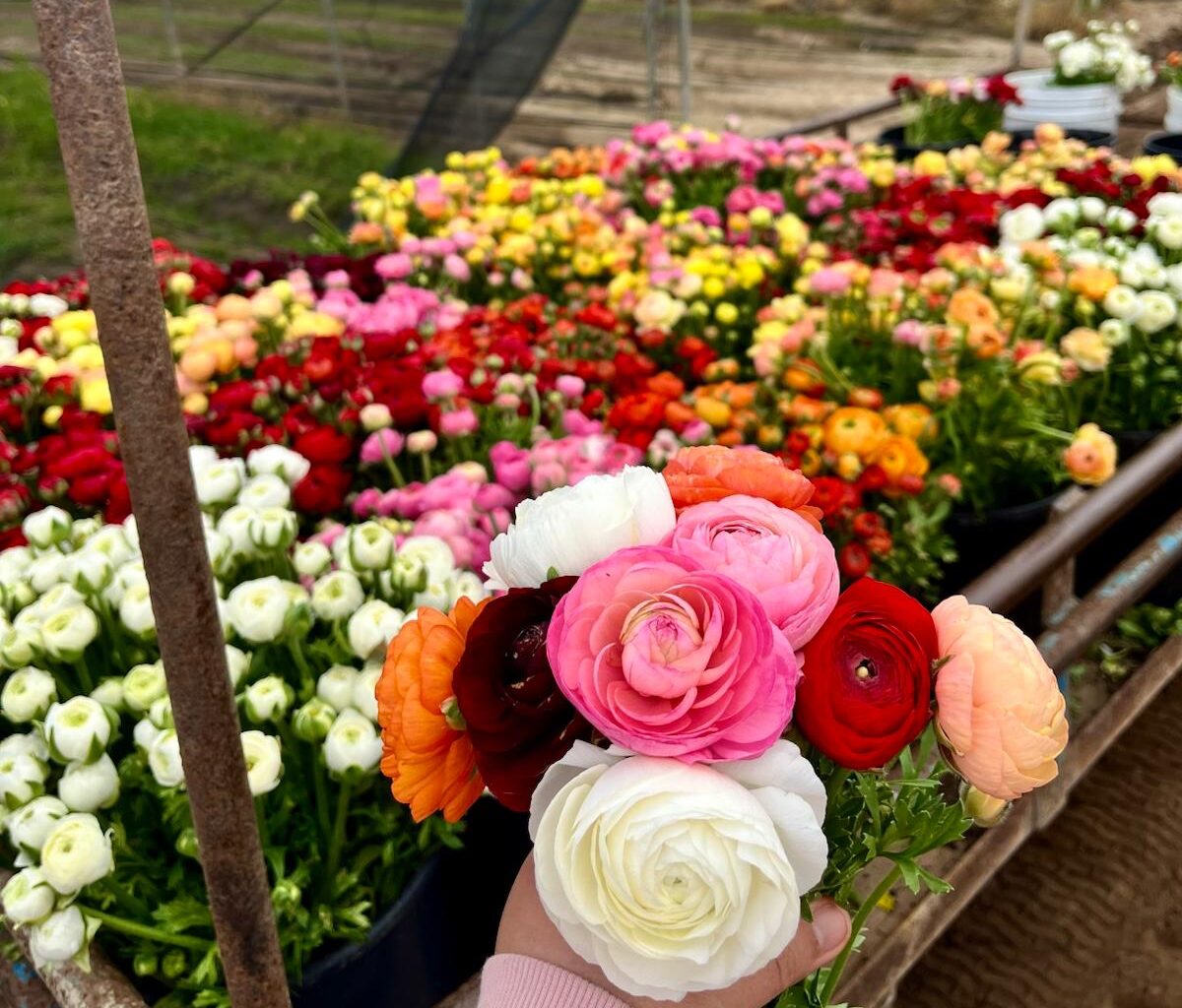 Our Story whatsapp image 2025 11 07 at 2.48.22 pm