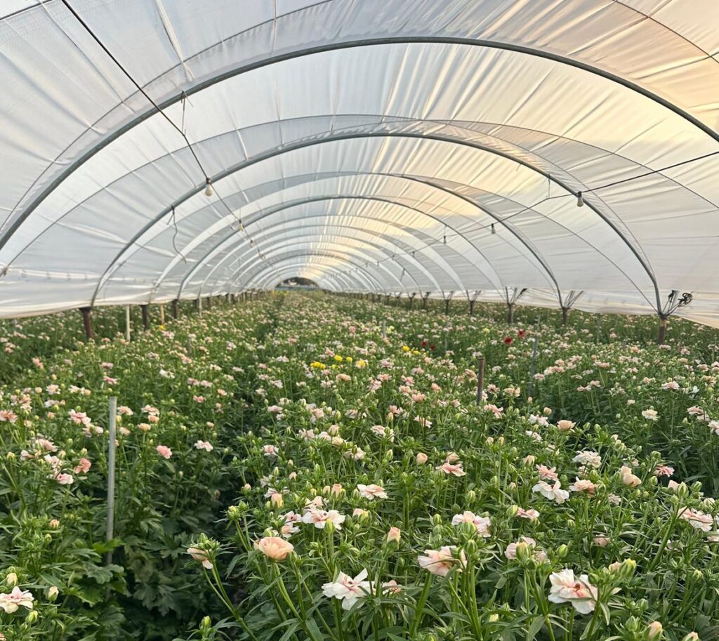 Our Story whatsapp image 2025 11 07 at 2.49.35 pm