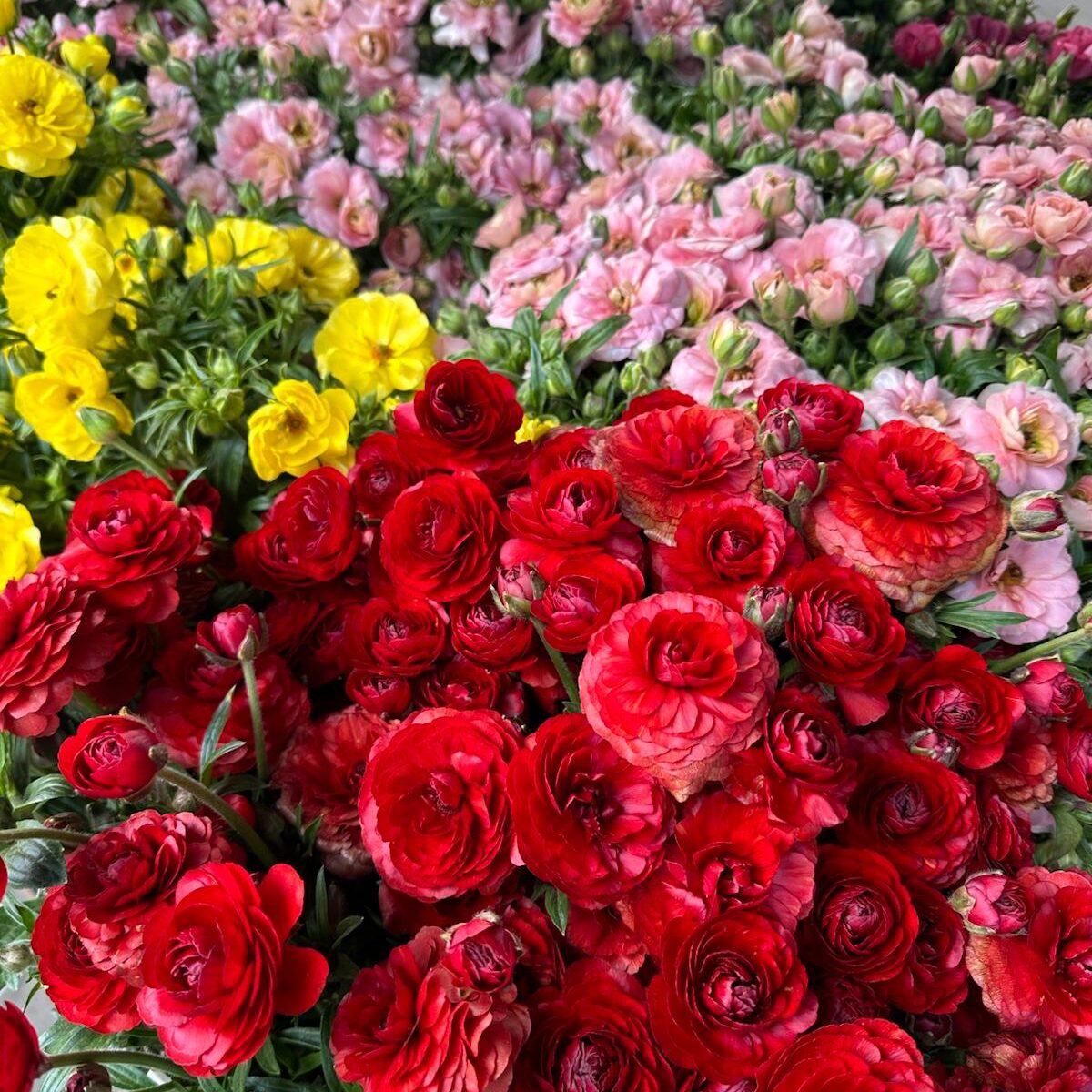 whatsapp image 2025 11 07 at 2.56.09 pm