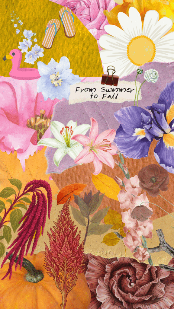 Orange Brown And Gray Collage Autumn Moodboard Your Story 576x1024