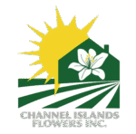 Channel Islands Flowers